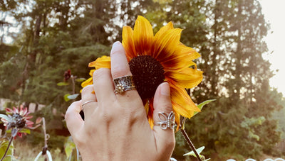 The Magic of Sunflowers