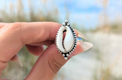The Meaning of the Cowrie Shell